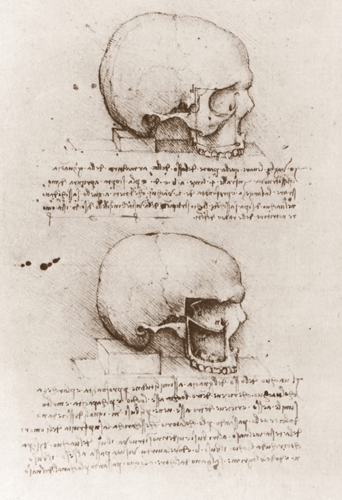 Leonardo+da+Vinci-1452-1519 (760).jpg